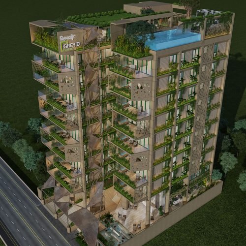 greyd-shironamhin-01